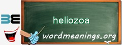 WordMeaning blackboard for heliozoa